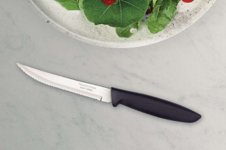 a polypropylene steak knife
