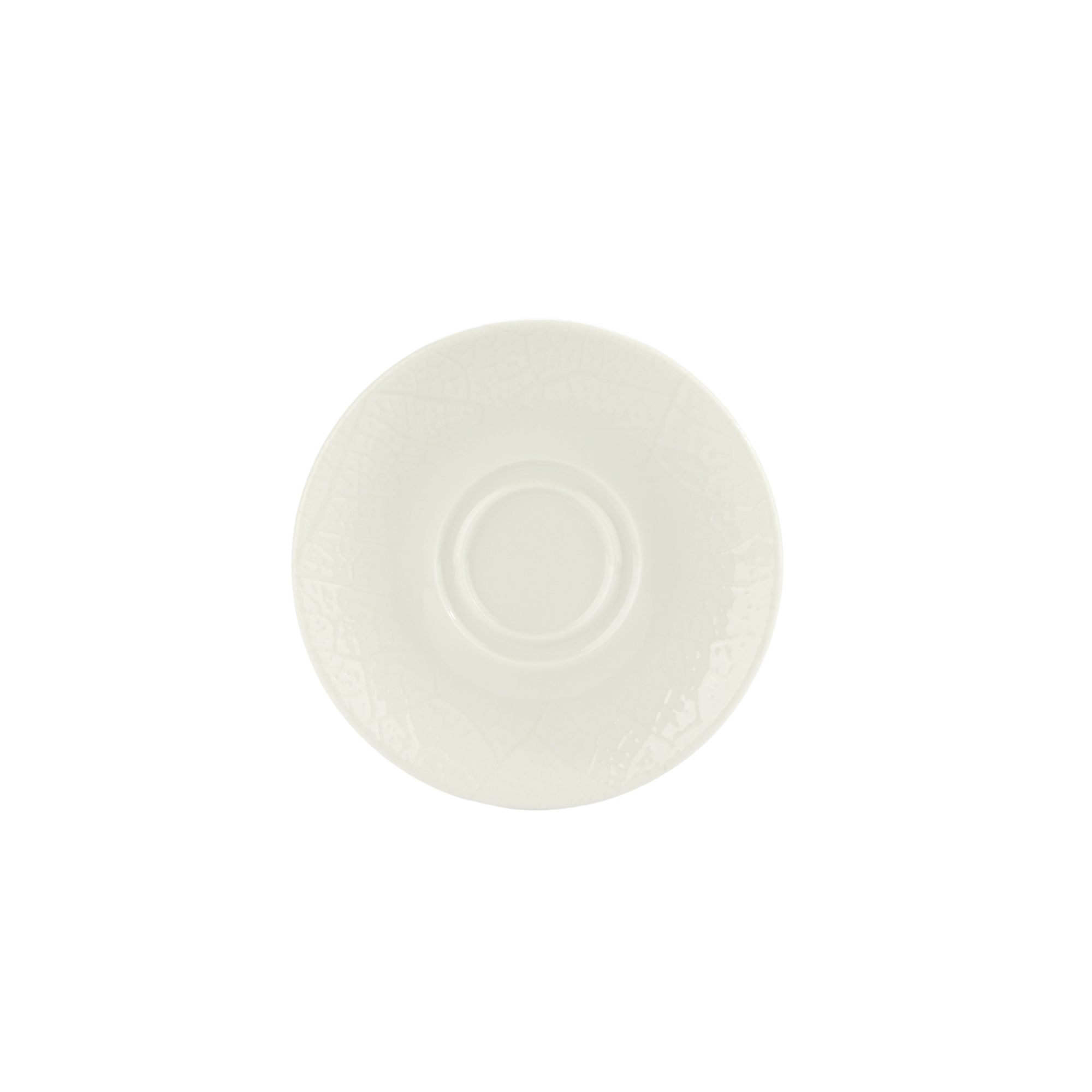 Organic Double Well Saucer